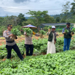 Panen Perdana Tanaman Kebun Pekarangan Pangan Bergizi Polres Konut, Wujud Dukungan Program Pemerintah