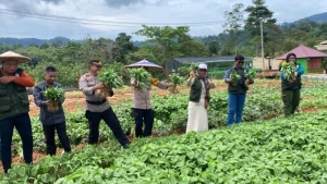 Panen Perdana Tanaman Kebun Pekarangan Pangan Bergizi Polres Konut, Wujud Dukungan Program Pemerintah