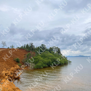 Tak Punya Izin Pengalihan Jalan. PT. Pernick Sultra diduga Eksis Nambang Jalan Daerah Konawe Utara dan Kawasan Hutan