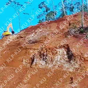 PT. Binanga Hartama Raya Di Duga Nambang Lahan Koridoor dan Aktif lakukan penambangan Kawasan Hutan. Luput Perhatian Dari APH Sultra