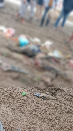 Penjual Sayur Tewas Tertabrak Mobil Dumb Truck PT.Virtue Dragon Nickel Industry (VDNI)