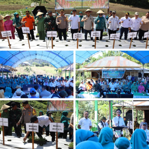 Mewujudkan Komitmen Membangun Ketahanan Pangan; Pemda Konut Bersama Tim Penggerak PKK Tanam Serentak Komoditi Cabai