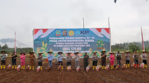 Dukung Ketahanan Pangan ;Polda Sultra dan PT Adhi Kartiko Pratama (AKP) Tanam Jagung Kuartal III