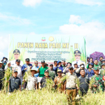 Bupati Konut H.Ikbar Pimpin Panen Raya di Sawa: Bukti Nyata Komitmen Wujudkan Kemandirian Pangan Daerah