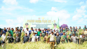 Bupati Konut H.Ikbar Pimpin Panen Raya di Sawa: Bukti Nyata Komitmen Wujudkan Kemandirian Pangan Daerah