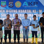 Wakapolda Sultra Pimpin Panen Raya Jagung Kuartal IV di Tambakua: PT AKP Hadir Sebagai Motor Penggerak Pemberdayaan Masyarakat Lingkar Tambang