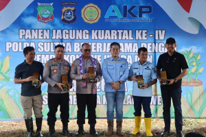 Wakapolda Sultra Pimpin Panen Raya Jagung Kuartal IV di Tambakua: PT AKP Hadir Sebagai Motor Penggerak Pemberdayaan Masyarakat Lingkar Tambang