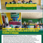 Dinas Perhubungan Konut Kembali Gelar Sosialisasi dan Edukasi Pemanfaatan Kawasan Hutan di DLKr dan DLKp Pelabuhan Di Barasanga