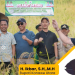 Bupati Konawe Utara Hadiri Panen Raya Padi Gogo di Desa Asemi Nunulai