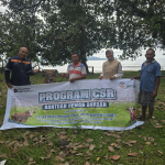 Tebar Berkah Idul Adha, PT ANTAM UBPN Konawe Utara Salurkan 26 Ekor Sapi Qurban untuk Masyarakat
