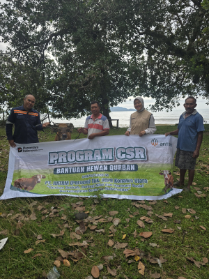 Tebar Berkah Idul Adha, PT ANTAM UBPN Konawe Utara Salurkan 26 Ekor Sapi Qurban untuk Masyarakat