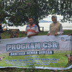 Tebar Berkah Idul Adha, PT ANTAM UBPN Konawe Utara Salurkan 26 Ekor Sapi Qurban untuk Masyarakat