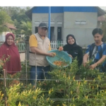 Berkat Pendampingan ANTAM, Petani Mowundo Panen 110 Kg Cabai dan Perluas Usaha